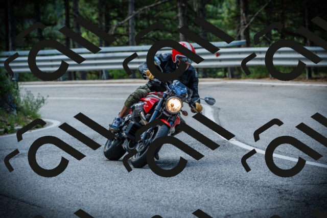 202507131008-DSC01491_c1_