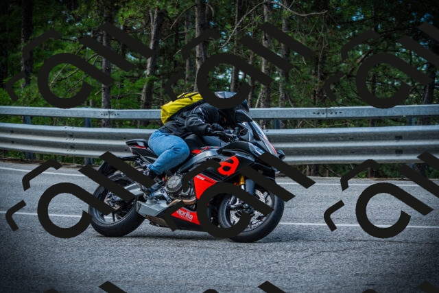 202507131008-DSC01502_c1_