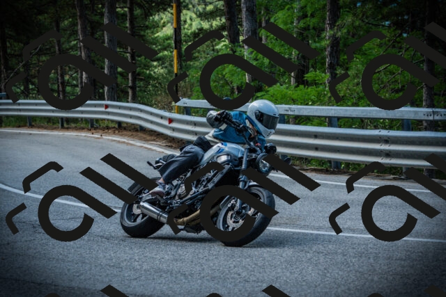 202507131010-DSC01523_c1_