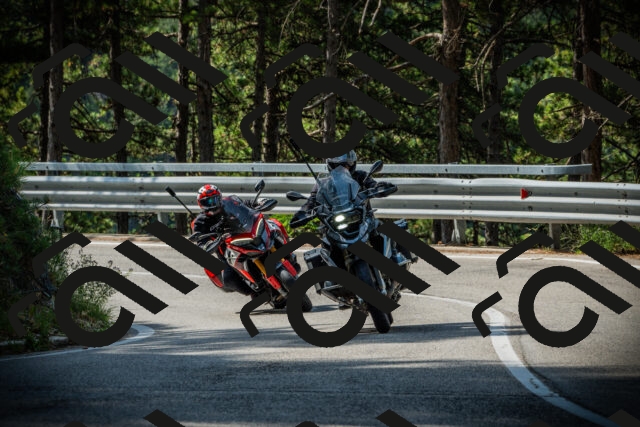 202507131012-DSC01527_c1_