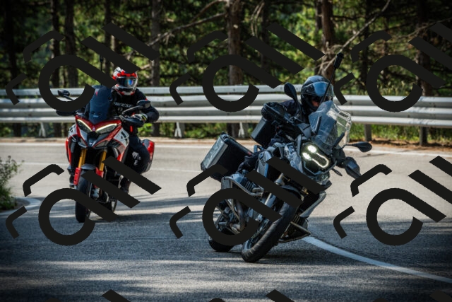 202507131012-DSC01529_c1_