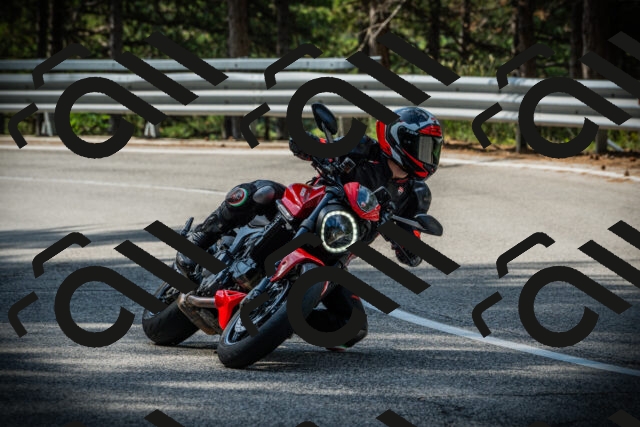 202507131014-DSC01538_c1_