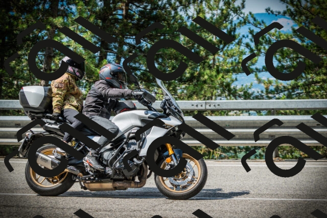 202507131015-DSC01561_c1_