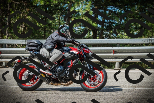 202507131015-DSC01573_c1_