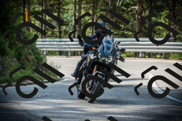 202507131016-DSC01577_c1_