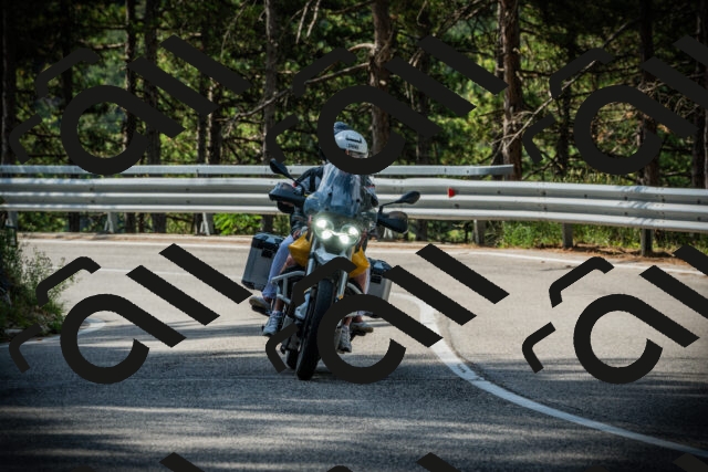 202507131017-DSC01586_c1_