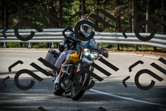 202507131017-DSC01587_c1_