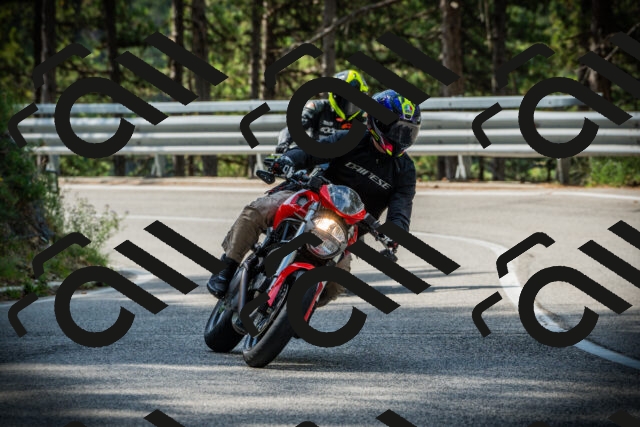 202507131017-DSC01593_c1_