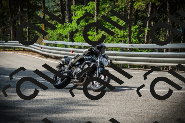 202507131018-DSC01605_c1_