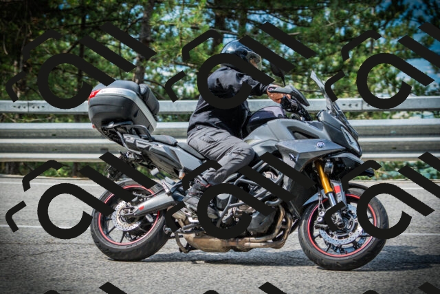 202507131018-DSC01613_c1_