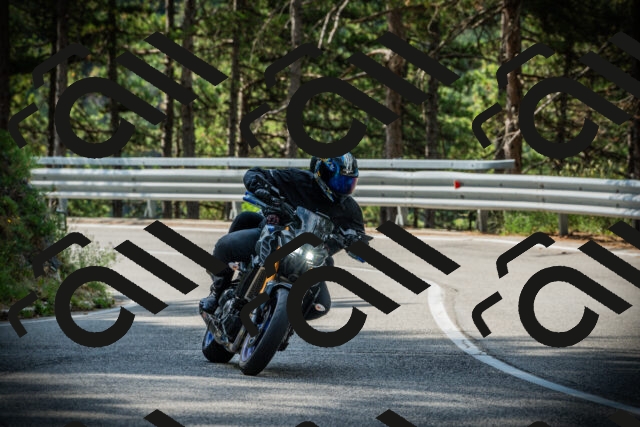 202507131019-DSC01635_c1_