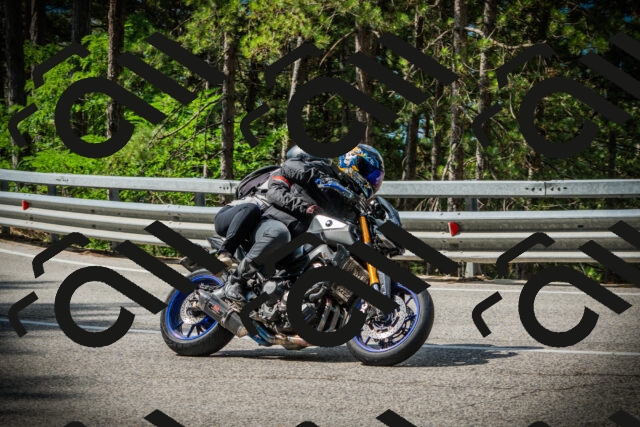 202507131019-DSC01636_c1_