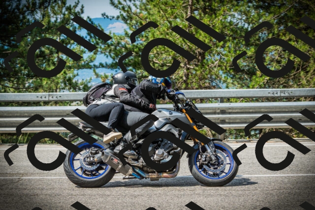 202507131019-DSC01637_c1_