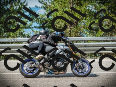 202507131019-DSC01637_c1_