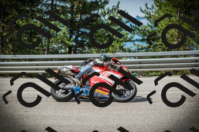 202507131019-DSC01644_c1_