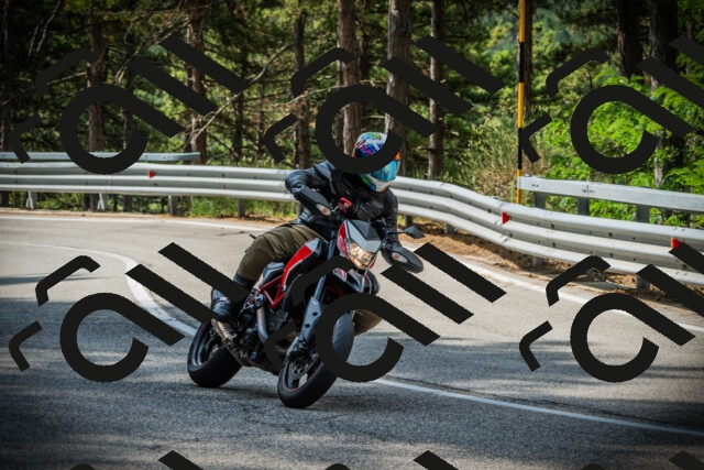 202507131019-DSC01647_c1_