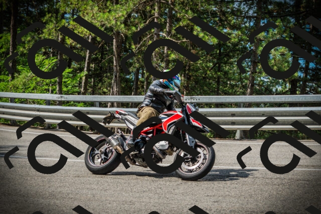 202507131019-DSC01648_c1_