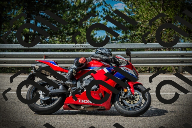 202507131019-DSC01649_c1_