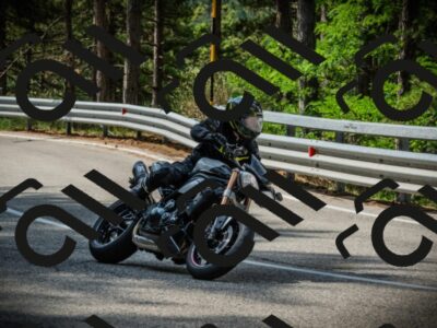 202507131019-DSC01652_c1_