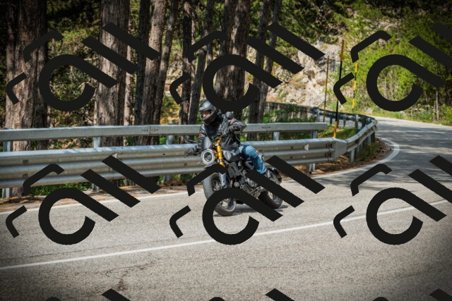 202507131019-DSC01662_c1_