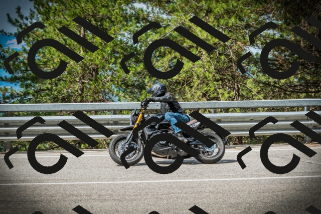 202507131019-DSC01663_c1_