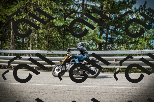 202507131019-DSC01664_c1_