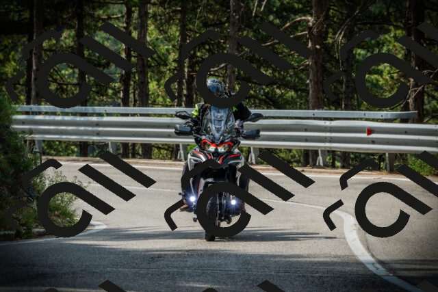 202507131020-DSC01674_c1_