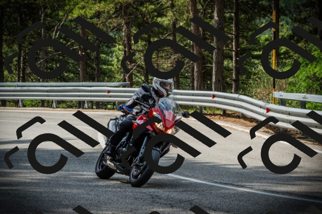 202507131020-DSC01679_c1_