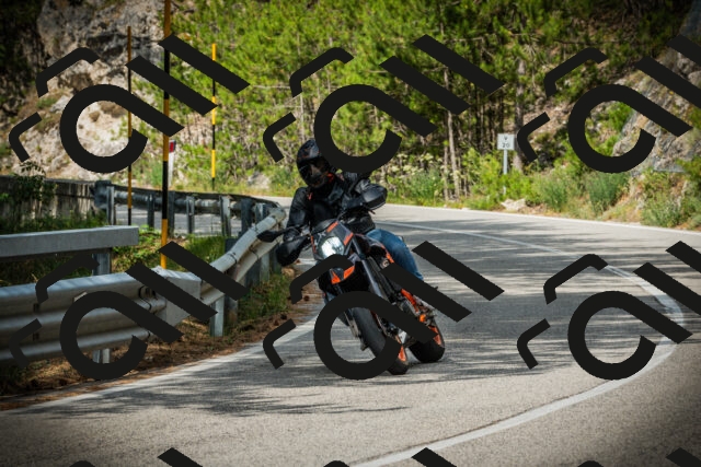 202507131021-DSC01683_c1_