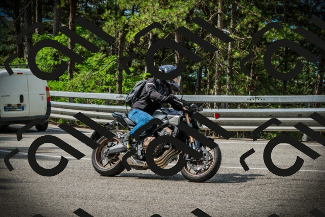 202507131022-DSC01693_c1_