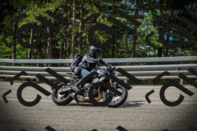 202507131027-DSC01713_c1_