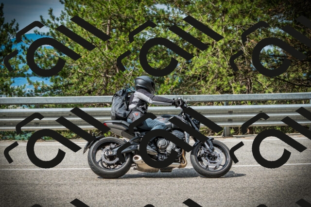 202507131027-DSC01714_c1_