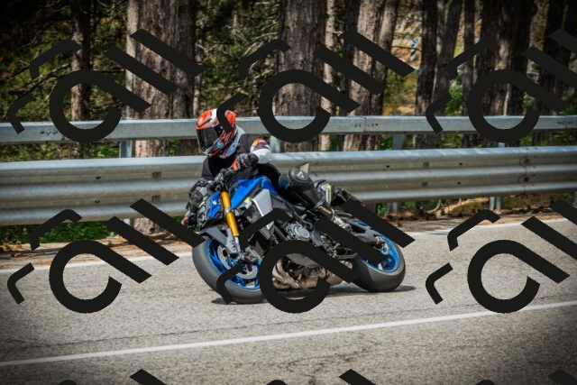 202507131028-DSC01740_c1_