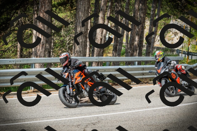 202507131028-DSC01741_c1_