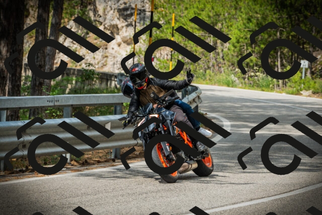 202507131030-DSC01761_c1_