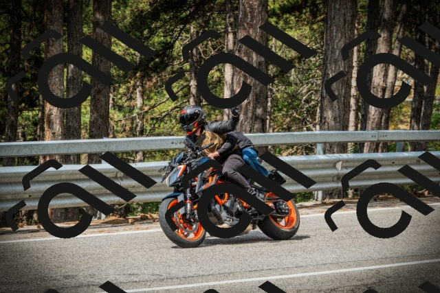 202507131030-DSC01762_c1_