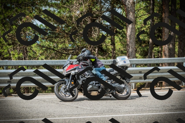 202507131031-DSC01784_c1_