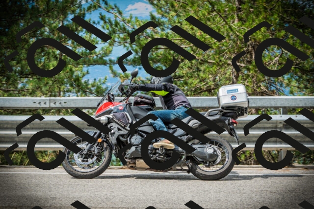 202507131031-DSC01785_c1_