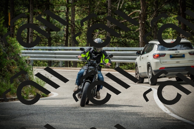 202507131035-DSC01808_c1_