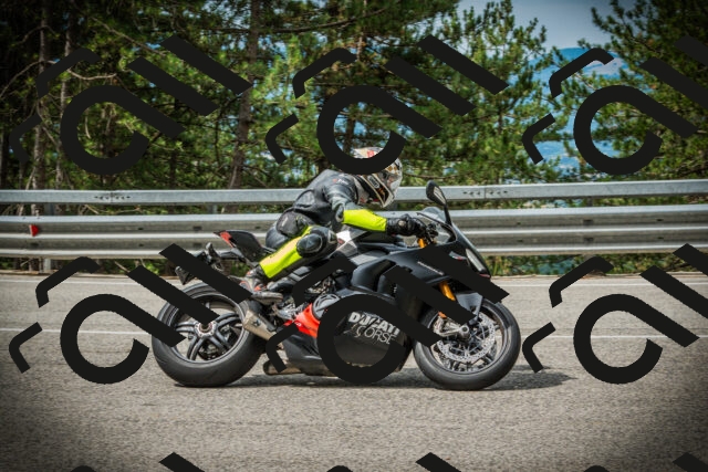 202507131036-DSC01816_c1_