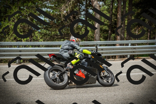 202507131036-DSC01817_c1_