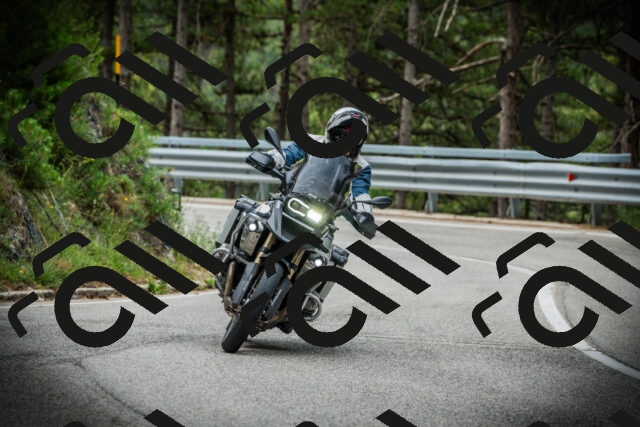 202507131036-DSC01819_c1_