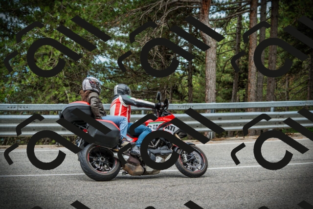 202507131036-DSC01825_c1_