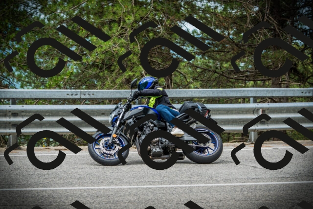 202507131037-DSC01832_c1_