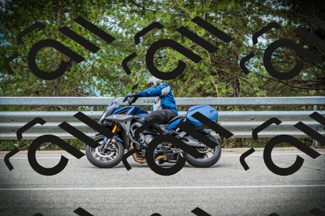 202507131037-DSC01841_c1_