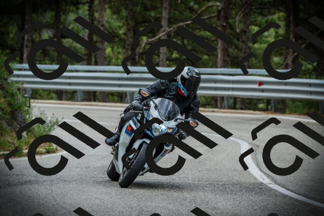 202507131041-DSC01873_c1_