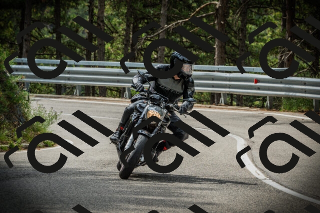 202507131046-DSC01898_c1_