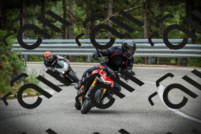 202507131100-DSC02036_c1_