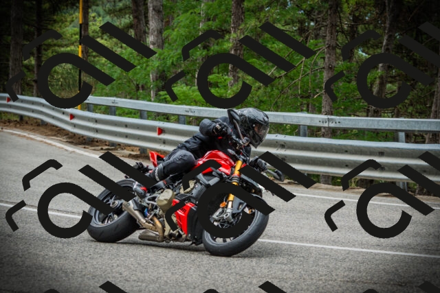 202507131100-DSC02037_c1_