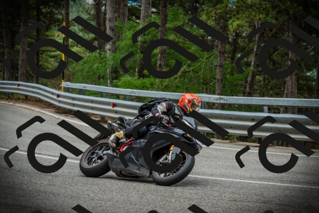 202507131100-DSC02038_c1_